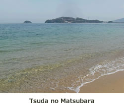 Tsuda no Matsubara